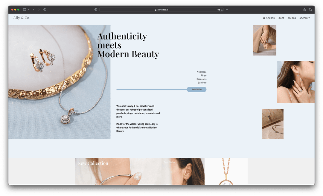 Ally And Co Online Shop